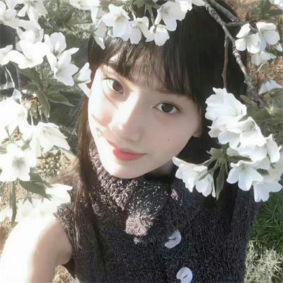 卿如野菊花