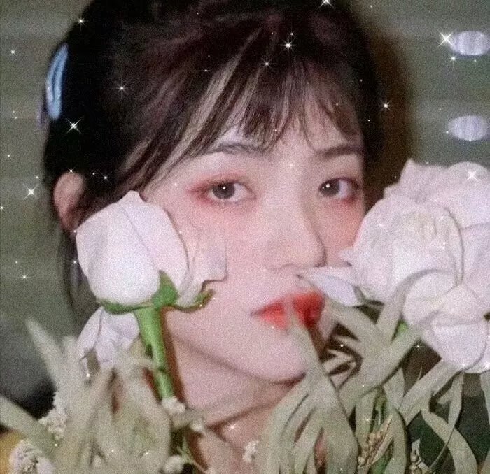 虎王归来