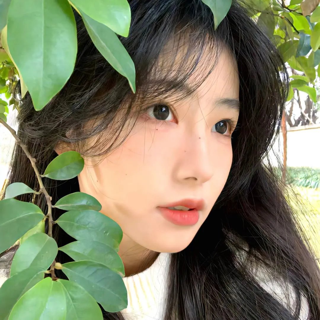 大地与阴影